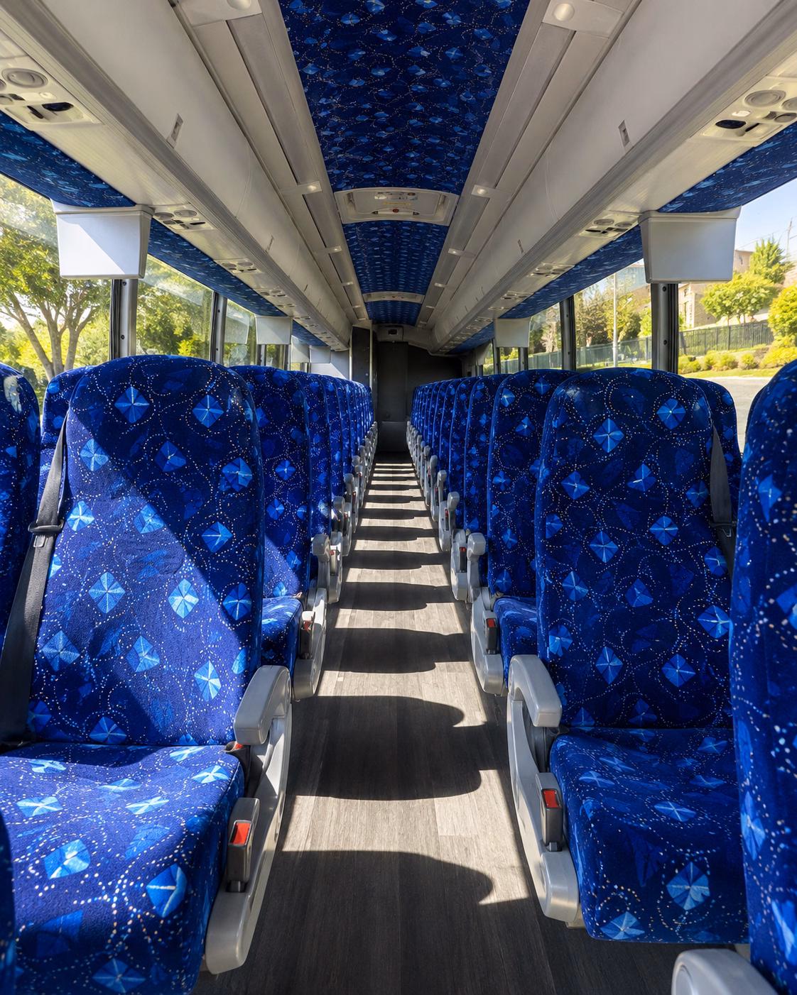 charter buses for olathe field trips to the kansas city zoo aquarium