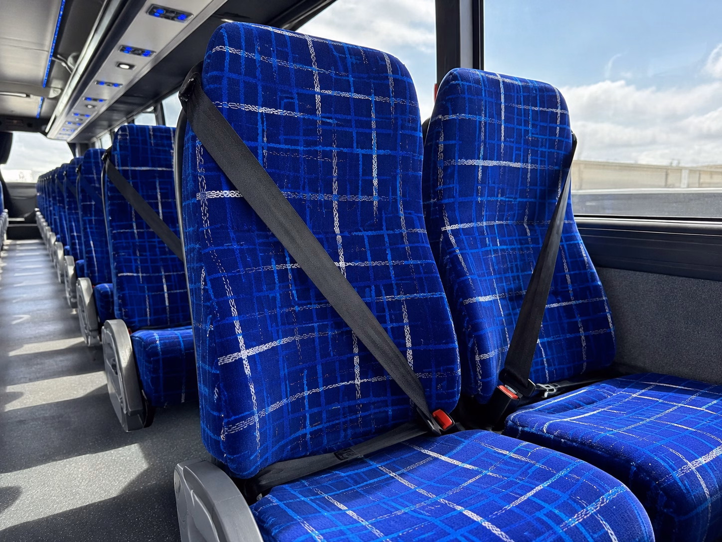 charter buses for olathe trips to the nelson atkins museum of art